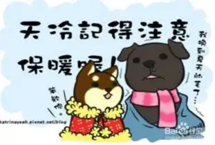 过年回家过年遇见亲戚催婚怎么办
