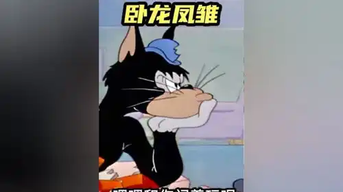 搞笑配音长海请人抓耗子一顿操作猛如虎一看战绩搞笑配音怀旧动画爆笑猫和老鼠东北话搞笑配音

