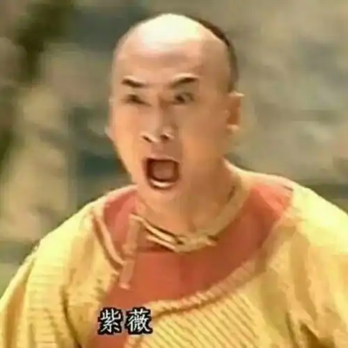 那些年用过的情侣头像,藏着多少温柔的故事
