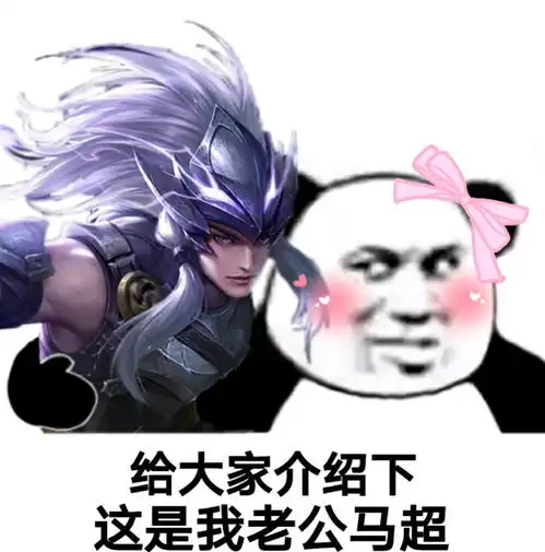王者荣耀搞笑表情包第十三弹
