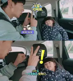 爸爸去哪儿换爸爸海量笑点泪点大放送
