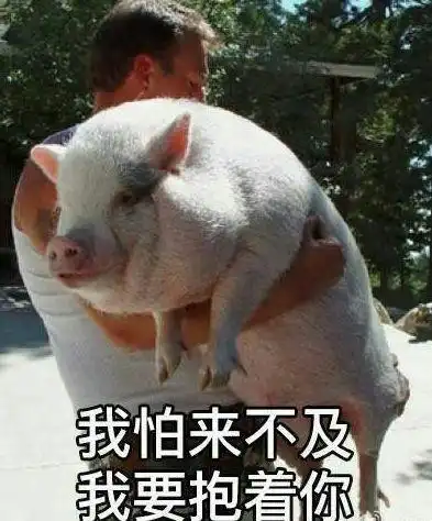 你最常用哪些有意思的表情包
