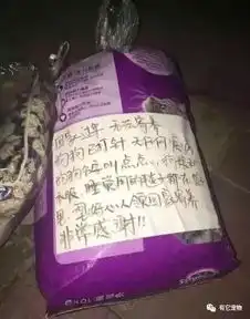 我是看你带狗回家,不是把它丢下
