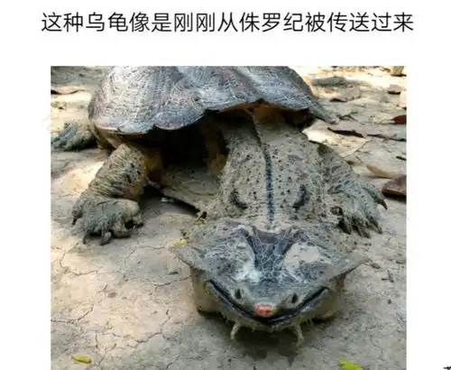 沙雕图片我感觉你像两头猪,因为一头猪已经不能形容你的蠢腾讯新闻
