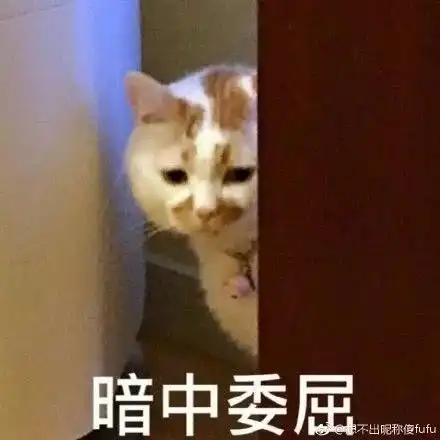 赞的表情包微信零花钱