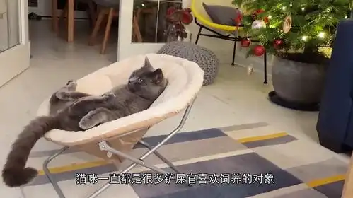 蓝猫8次提醒主人碗空了,铲屎官故意视而不见,镜头记录全过程
