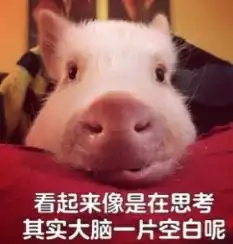 为了收视率,地方台们在一本正经地搞笑
