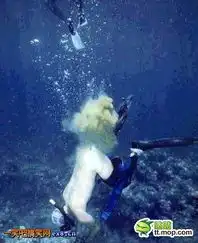 搞笑图片集营加点料
