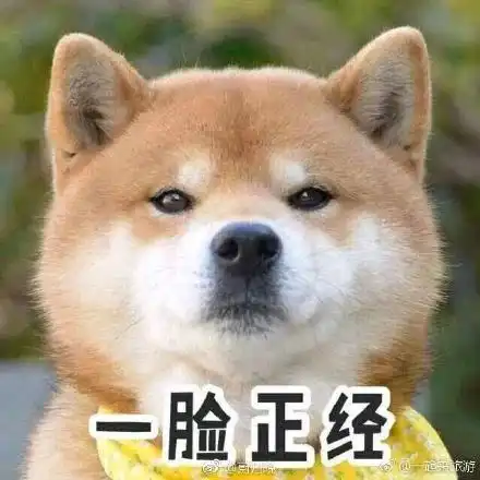有这位小朋友坐镇,拔河一定是赢了吧丨节操睡了
