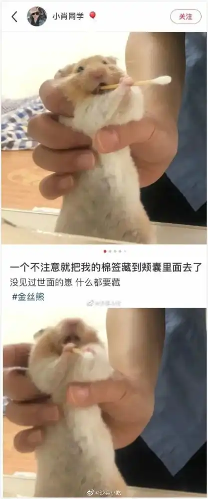 搞笑图片在外地考驾照有多难
