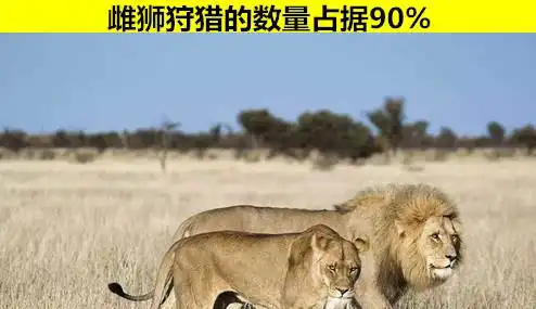 15个或许你不太可能在学校书本里学到的有趣冷知识
