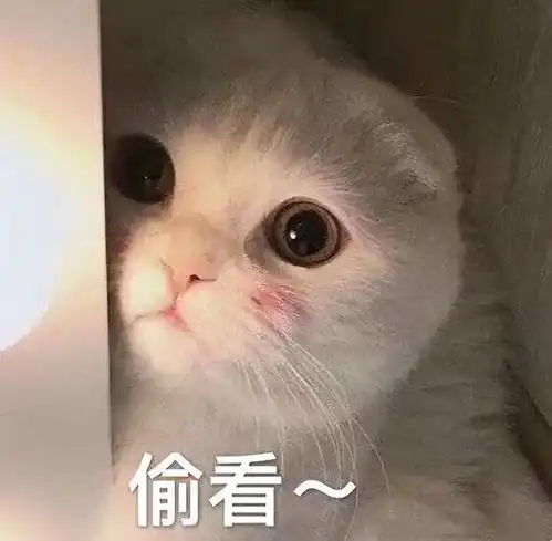 今日开播
