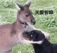哔哩哔哩专栏