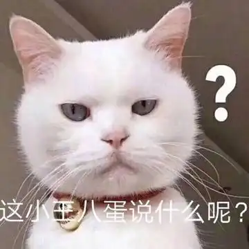 我的收藏
