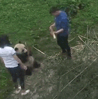 爆笑gif图我是该视而不见,还是配合你演出呢
