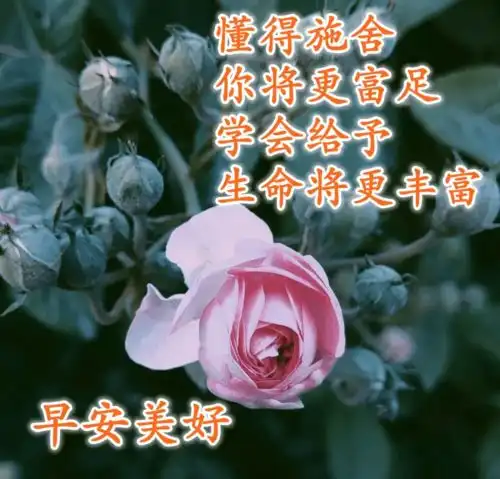2020新版早上好问候语大全2020最新早安祝福语
