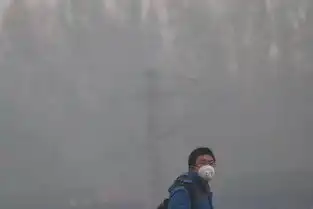 天空飘来五个字早晚出大事
