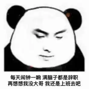 近期抖音最火熊猫表情

