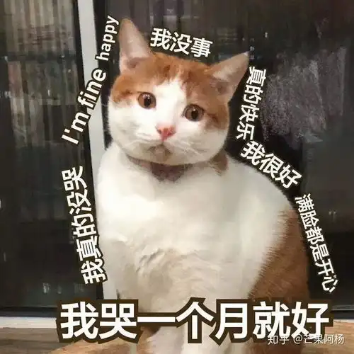 有哪些好看的猫头像
