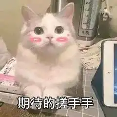 五一假期去哪里网红小姐姐带你直播游青城
