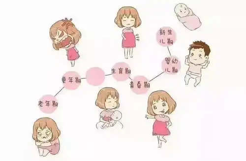 为何女性比男性更需要艾灸

