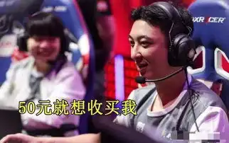英雄联盟王思聪与路人排位,欢乐聊天,欲50q币收买打野惨遭拒绝
