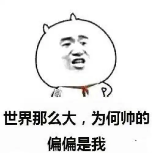 搞笑gif趣图这世界太可怕了,我已经分不清真假了

