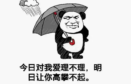 昨天你爱答不理,今天你高攀不起英特尔曾拒绝向openai投资
