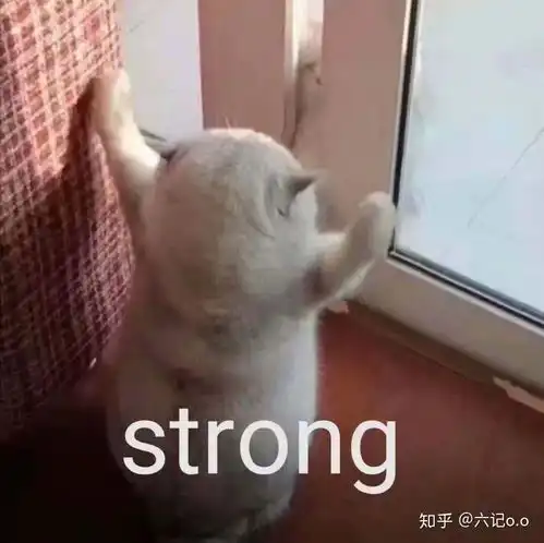 小回音是一款怎样的app
