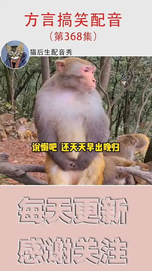 这是一只有故事的猴子搞笑配音
