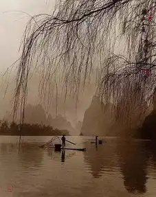 这些照片可能是画意摄影的最高境界吧
