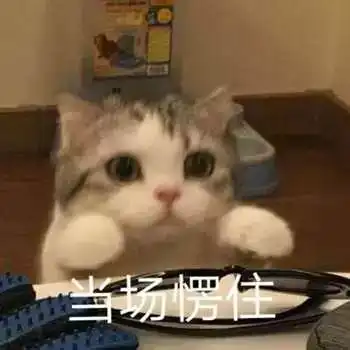 最新斗图表情包,赶快抱走
