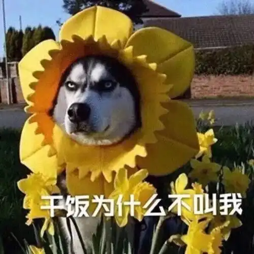 昵称85个沙雕网名,你总会挑中一个吧
