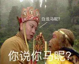 你说你马呢表情包我的马鸭什么梗表情包图片下载乐游网游戏下载
