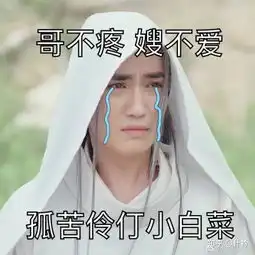 面面为什么恨沈巍
