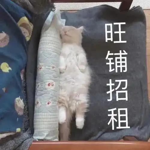 幽默搞笑表情包来自单身狗的羡慕
