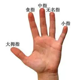 手相如何看你一生富贵程度
