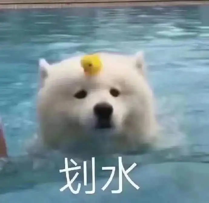 表情包可爱狗勾表情包合集
