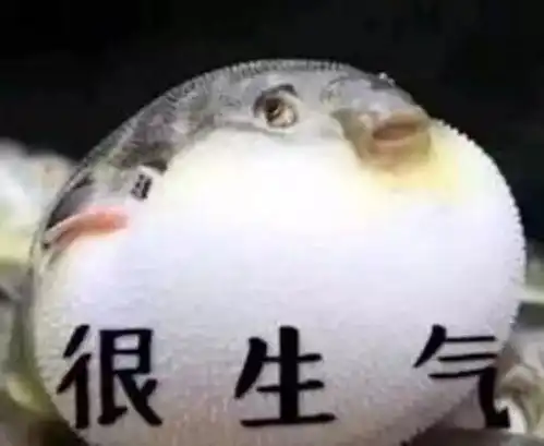 二十四孝好男友白斑河豚