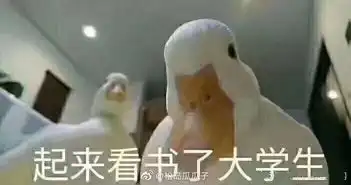 好的鸭表情包都挺好