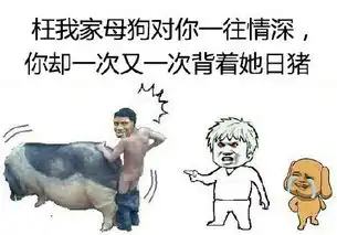 表情与斗图41撕逼斗图表情4
