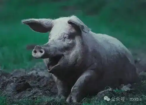 爆笑经典面试搞笑冷笑话,工作面试时对面问我能否说一说你有什么长处
