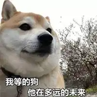 单身情人节发说说配图搞笑情人节单身狗配图
