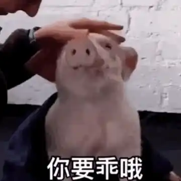 三个月里每天都在跑步,可是肚子上赘肉还在,要怎么减
