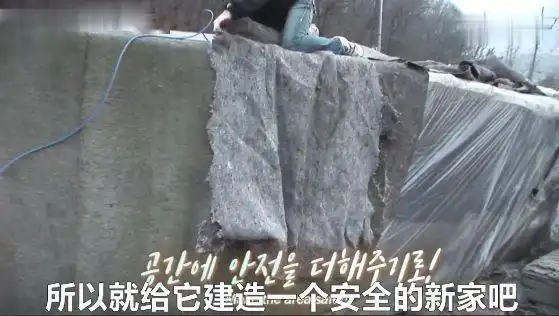 主人遇到泥石流,狗子为了救主人而失去了自己的狗宝宝
