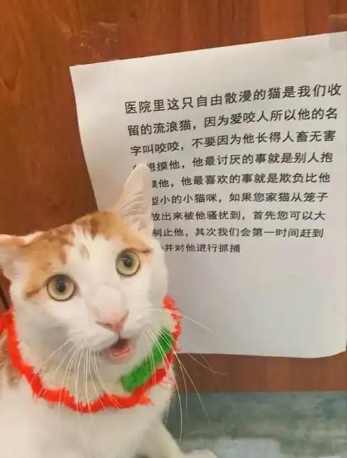 有哪些让人笑到肚子疼的搞笑图片