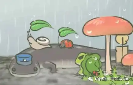 旅行的小青蛙,今天回家了
