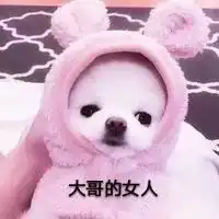 萌宠表情包
