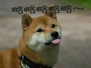 在这张图片上面加字略略略略略p得好看一点,这只狗吐舌头的字体萌一点
