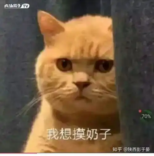 有没有类似这种的搞笑的好看的图片